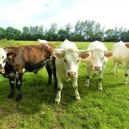 Maison Des Pommiers - Bord De Et Campagne Casa vacanze Port-en-Bessin-Huppain