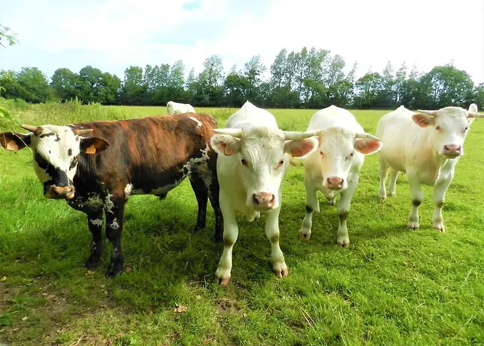 Maison Des Pommiers - Bord De Et Campagne בית נופש פורט-אן-בסאן-אופאן